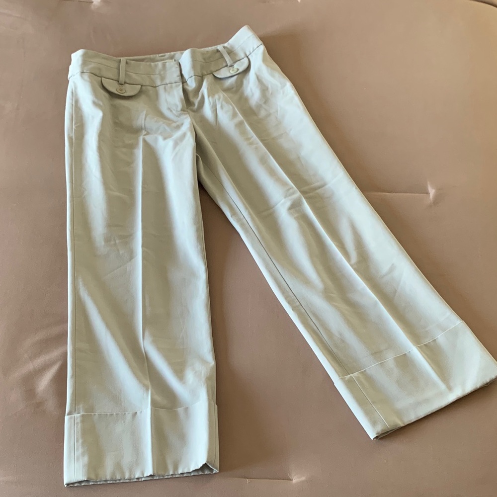 Ann Taylor LOFT Capri Pants